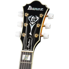 Ibanez GB10-BS George Benson Signature Brown Suburst | Music Experience | Shop Online | South Africa