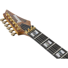 Ibanez RGT1220PB-ABS RG Premium Antique Brown Stained | Music Experience | Shop Online | South Africa