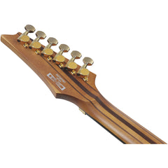 Ibanez RGT1220PB-ABS RG Premium Antique Brown Stained | Music Experience | Shop Online | South Africa