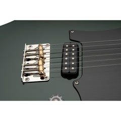 PRS Myles Kennedy Signature Hunters Green | Music Experience | Shop Online | South Africa