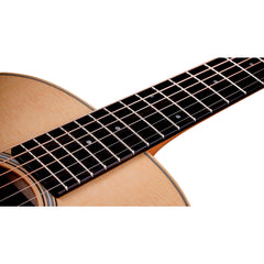 Taylor GS Mini Sapele Natural | Music Experience | Shop Online | South Africa