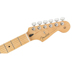Fender Limited Edition Player Stratocaster Inca Silver | Music Experience | Shop Online | South Africa