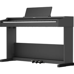 Roland RP107 Digital Home Piano Black | Music Experience | Shop Online | South Africa